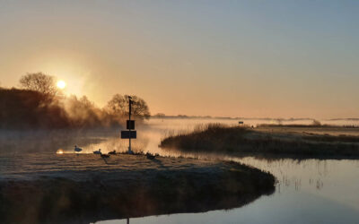 De stem van het water